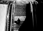 bw-project-a22780504