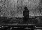 image-a26477561